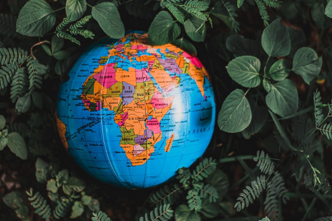 Home Vibrant globe nestled in lush green leaves, highlighting continents in vivid colors.
